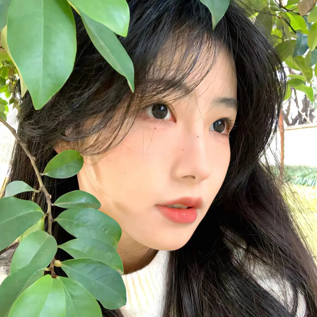 戴勋章的走私犯